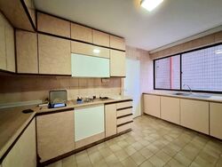 The Cairnhill (D9), Condominium #555566491